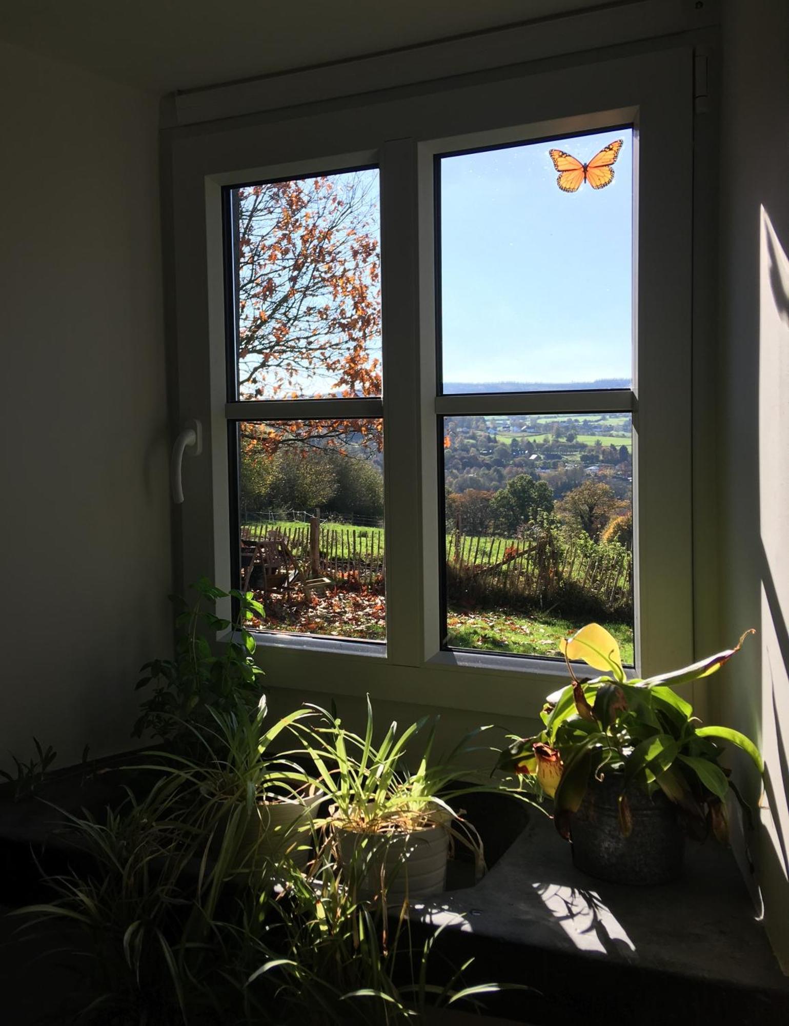 La Maison De Julienne - Ligneuville Malmedy Exterior foto